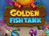 goldenfishtank goldenfishtank